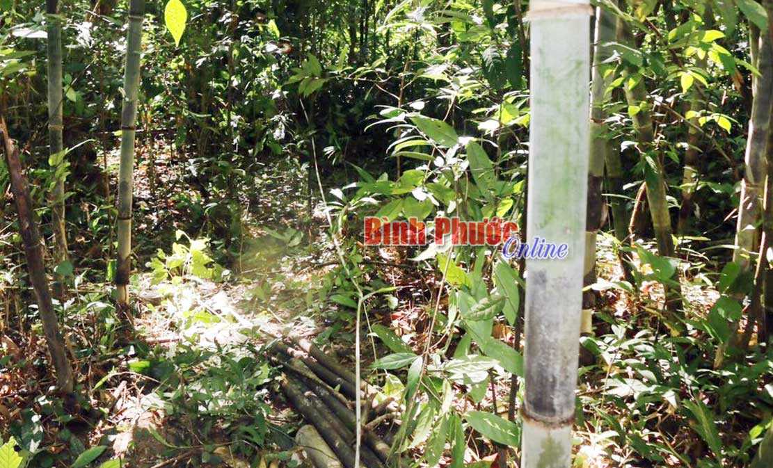 Điều tra vụ nam thanh niên tử vong khi đi săn