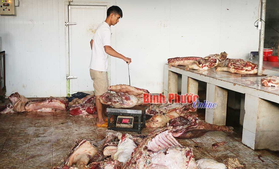 Gần 800kg thịt heo kh&ocirc;ng đảm bảo an to&agrave;n vệ sinh thực phẩm 