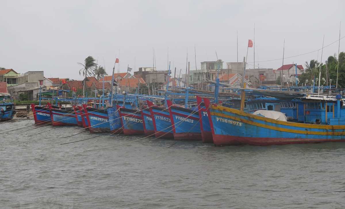 Bão số 5 mạnh lên, sắp đi vào đất liền từ Quảng Ngãi đến Khánh Hòa