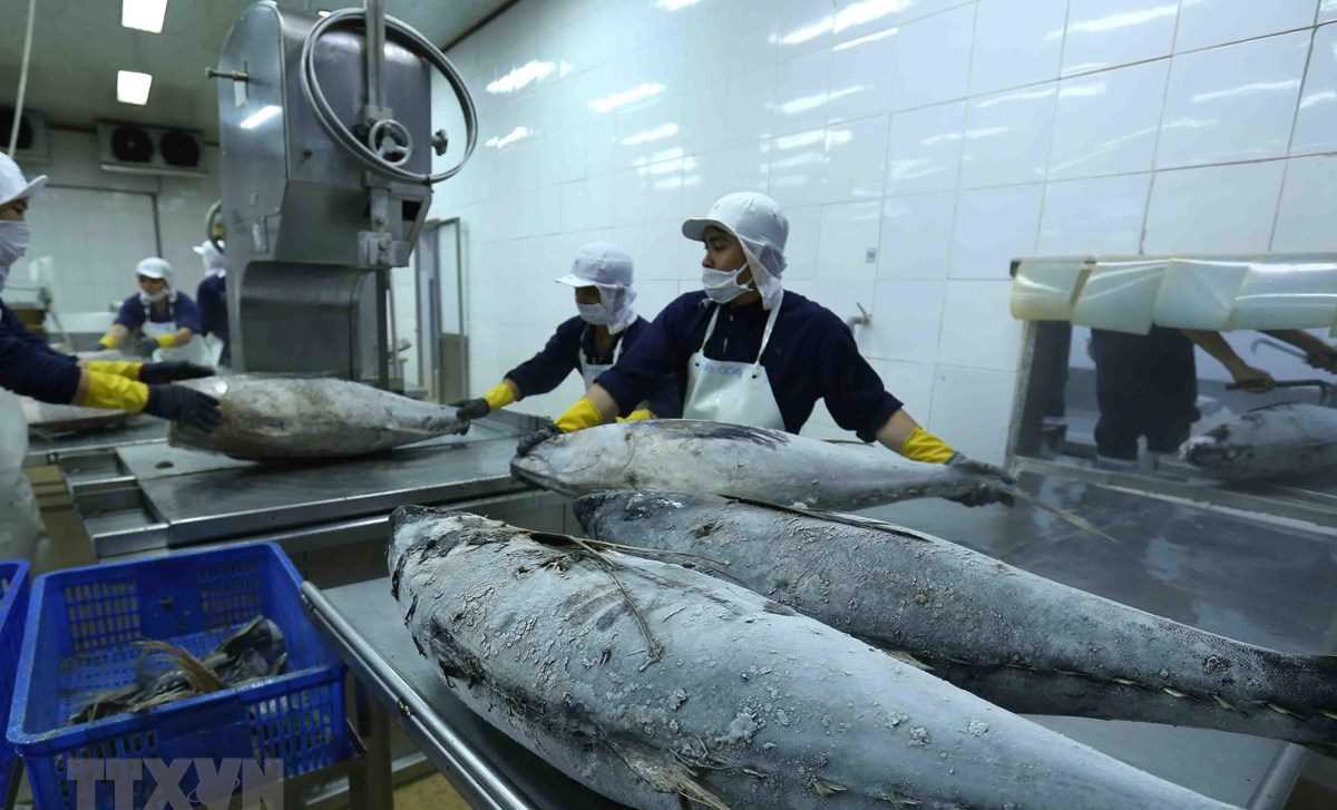 Việt Nam là ngôi sao sáng nhất về tăng trưởng kinh tế nhanh và ổn định