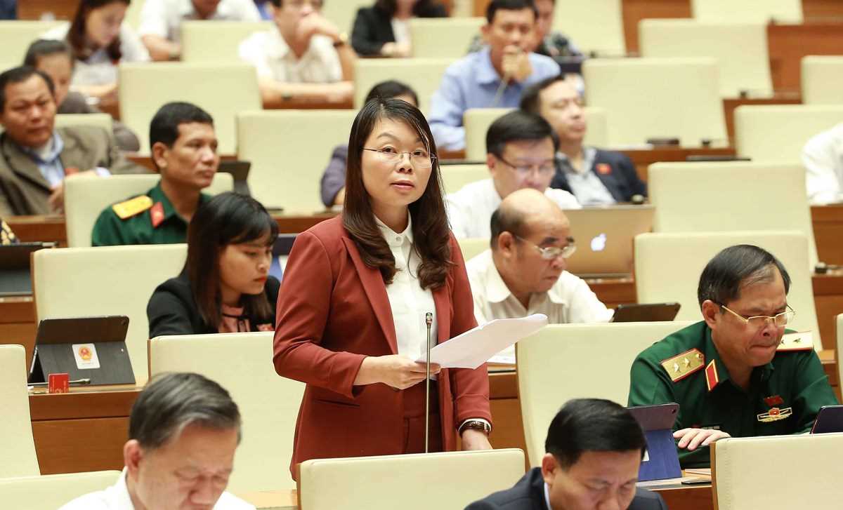 Cho ý kiến dự án Luật Dân quân tự vệ (sửa đổi) và Luật Xuất, nhập cảnh