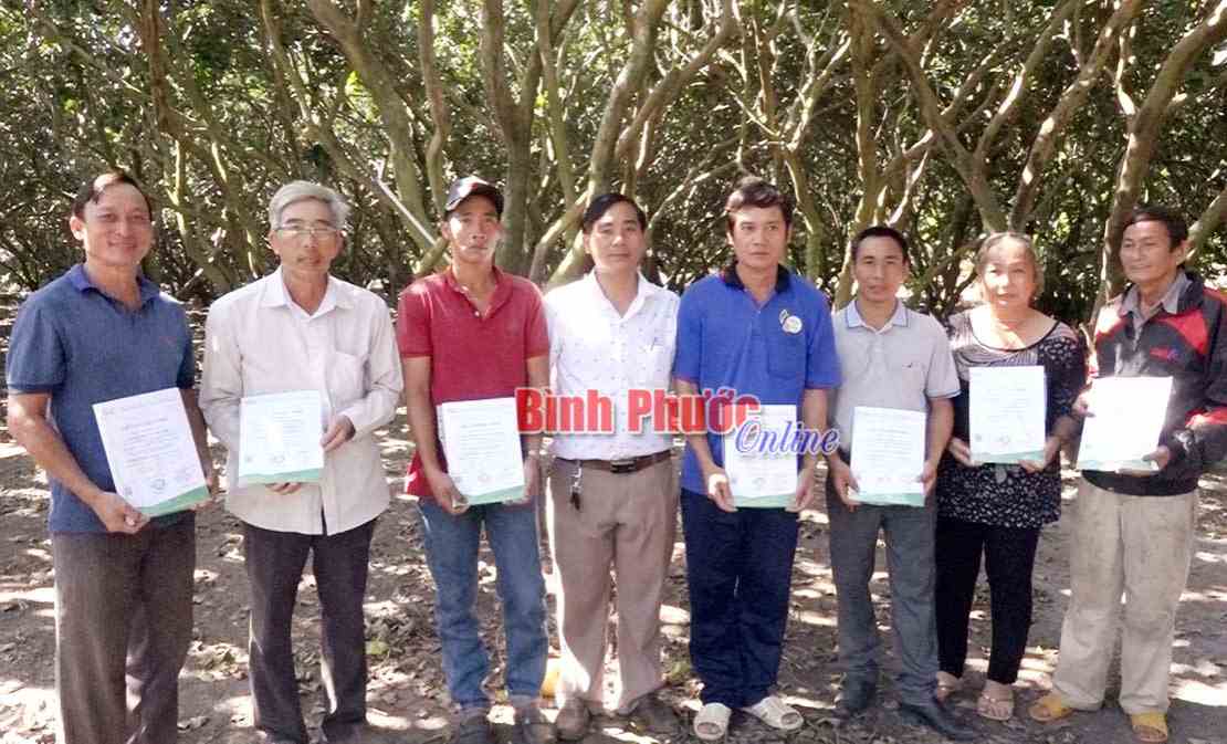 Chơn Th&agrave;nh hỗ trợ n&ocirc;ng d&acirc;n sản xuất bưởi da xanh VietGAP