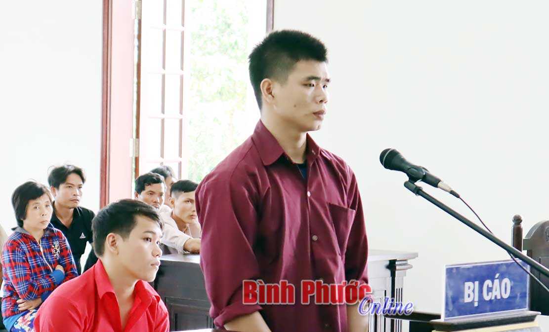 Cưa trộm một nh&aacute;nh m&iacute;t, 3 thanh ni&ecirc;n l&atilde;nh &aacute;n t&ugrave;