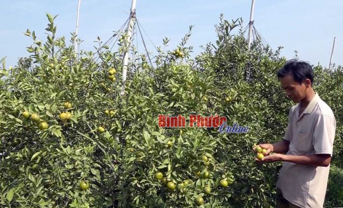 Nông dân Thanh Lương gồng mình chống hạn