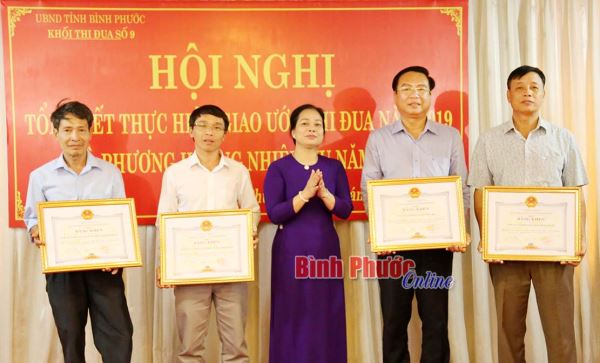 Năm 2019, Khối thi đua số 9 đóng góp ngân sách hơn 700 tỷ đồng