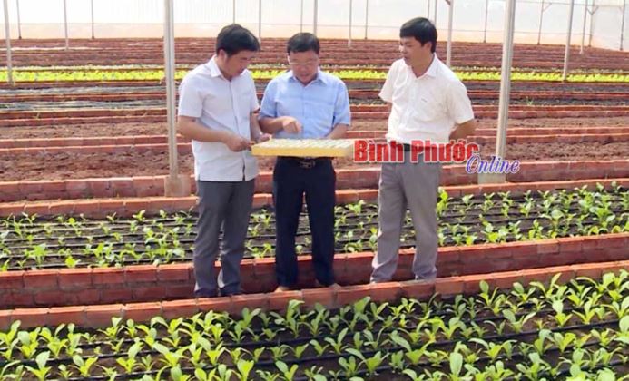 Khi đảng viên tích cực làm kinh tế