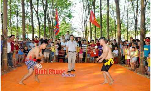 Sới vật đầu xu&acirc;n ở Long H&agrave;