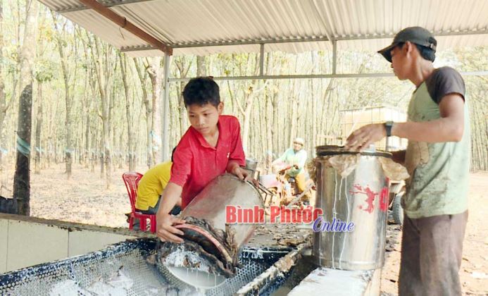 Cuộc sống ổn định nhờ làm công nhân