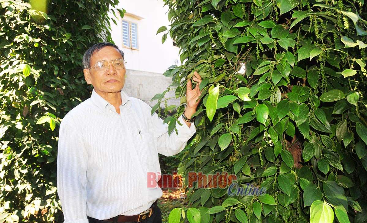 Liên kết hợp tác trong chăn nuôi, trồng trọt