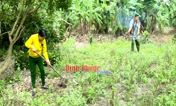 Lộc Th&agrave;nh nỗ lực giảm hộ ngh&egrave;o DTTS