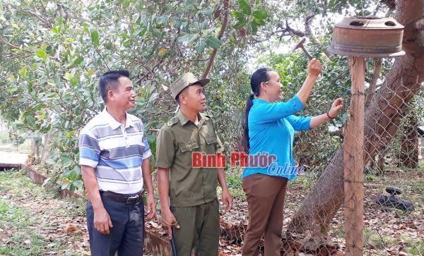 Bù Đăng phát huy hiệu quả tự quản phòng, chống tội phạm