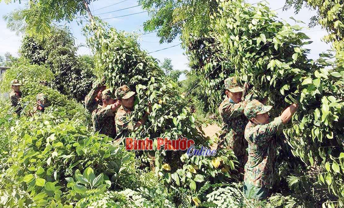 Củng cố thế trận l&ograve;ng d&acirc;n vững chắc