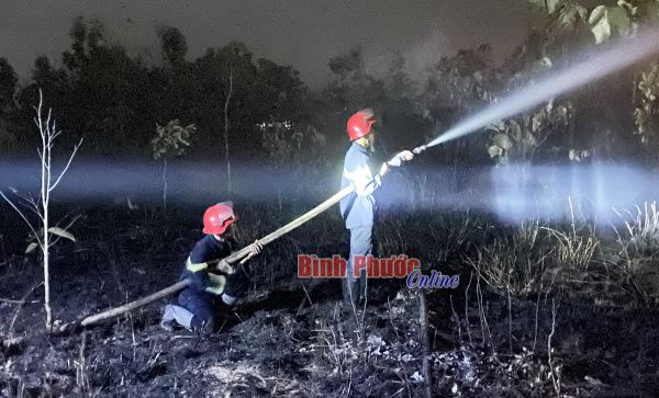 Lửa thiêu rụi hơn 1ha cao su ở Lộc Ninh