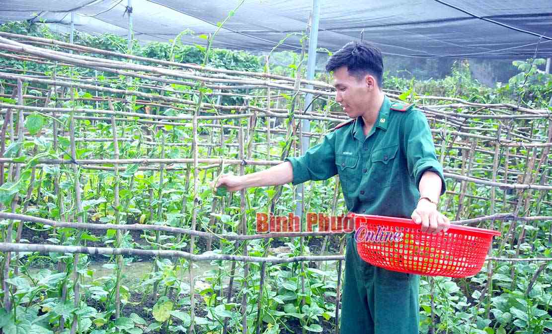 Chiến sĩ trẻ tăng gia sản xuất