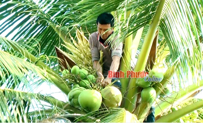 Những hộ tự nguyện xin tho&aacute;t ngh&egrave;o ở huyện bi&ecirc;n giới