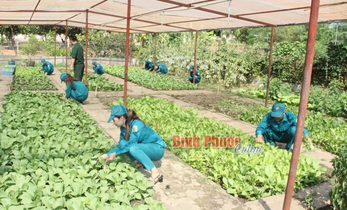 &ldquo;Mỗi ng&agrave;y l&agrave;m một việc tốt theo B&aacute;c&rdquo;