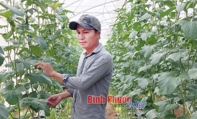 Nông nghiệp công nghệ cao - Hướng phát triển bền vững