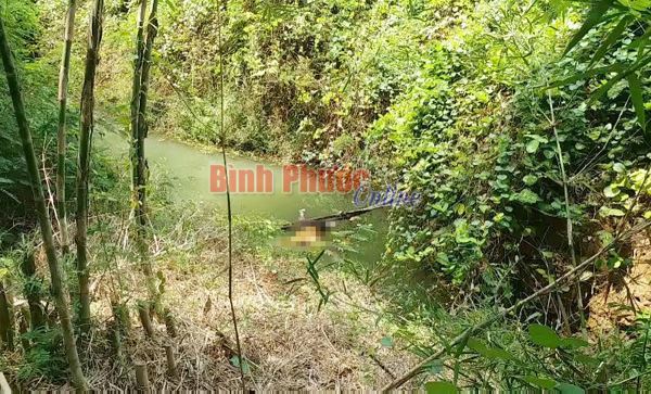 Bơm nước tưới cà phê, phát hiện thi thể đang phân hủy