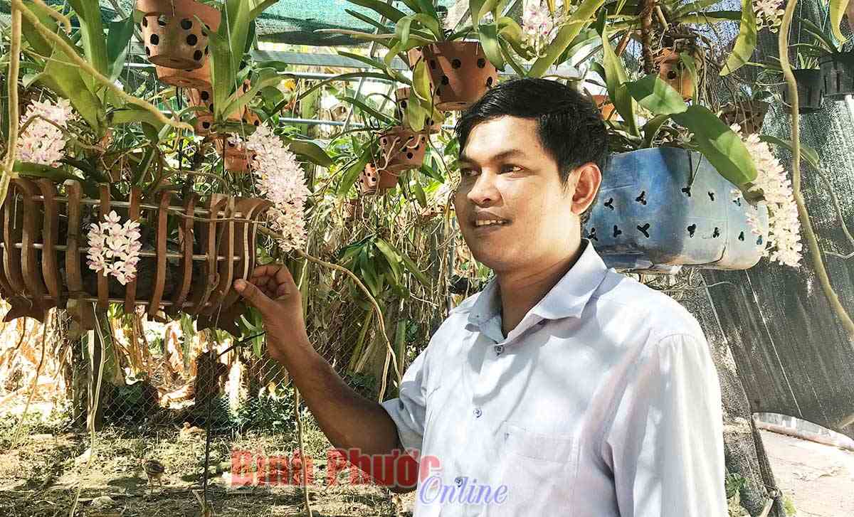 Làm giàu từ trồng lan rừng  