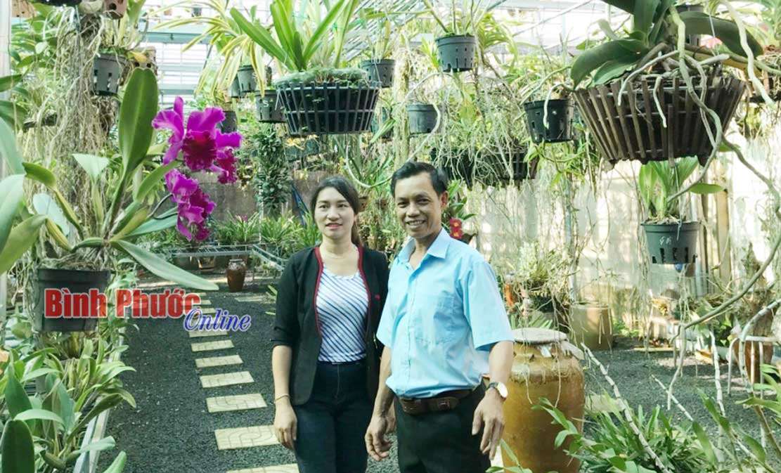 Trồng hoa lan - hướng đi của nông nghiệp đô thị