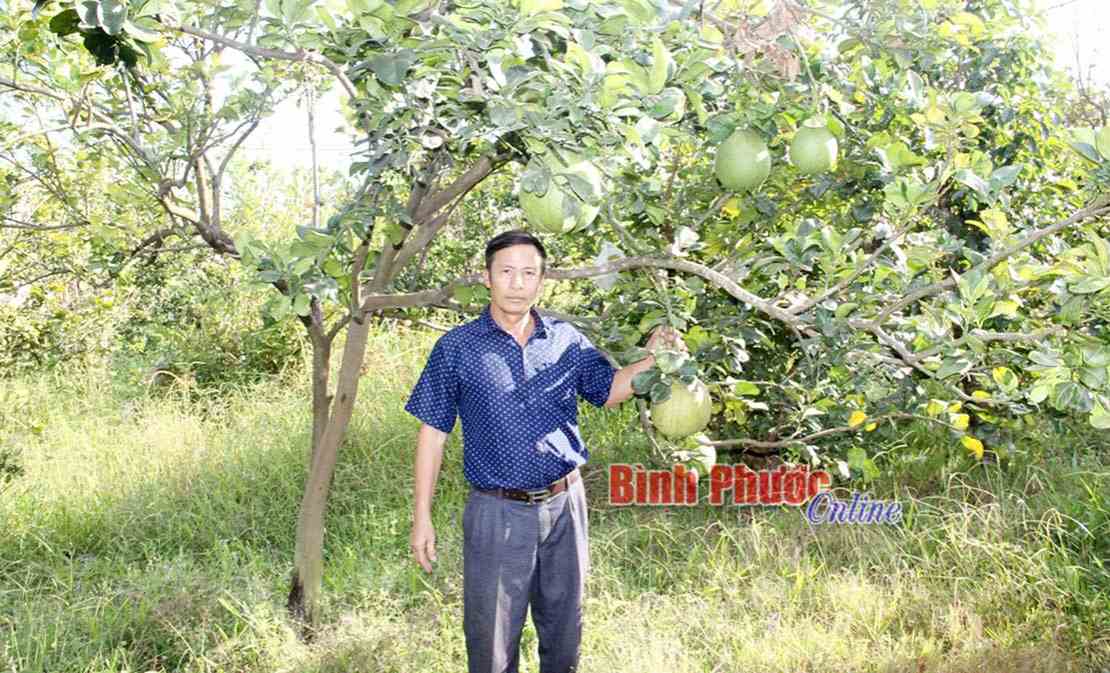 Tấm lòng của một trưởng khu phố