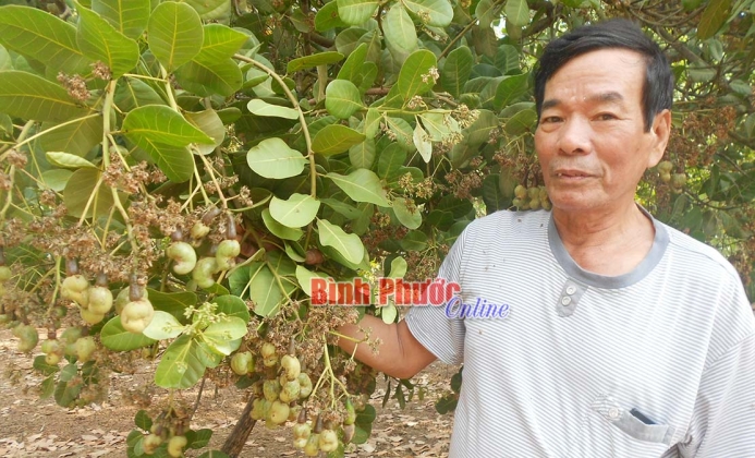 Nghị lực của cựu thanh ni&ecirc;n xung phong