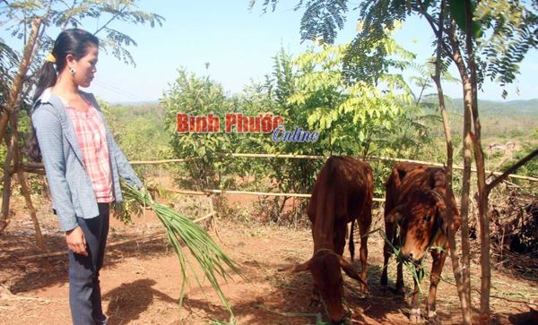 Đẩy mạnh tho&aacute;t ngh&egrave;o từ hỗ trợ sinh kế