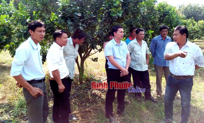 Đẩy mạnh chuyển giao ứng dụng KH&CN vào sản xuất nông nghiệp