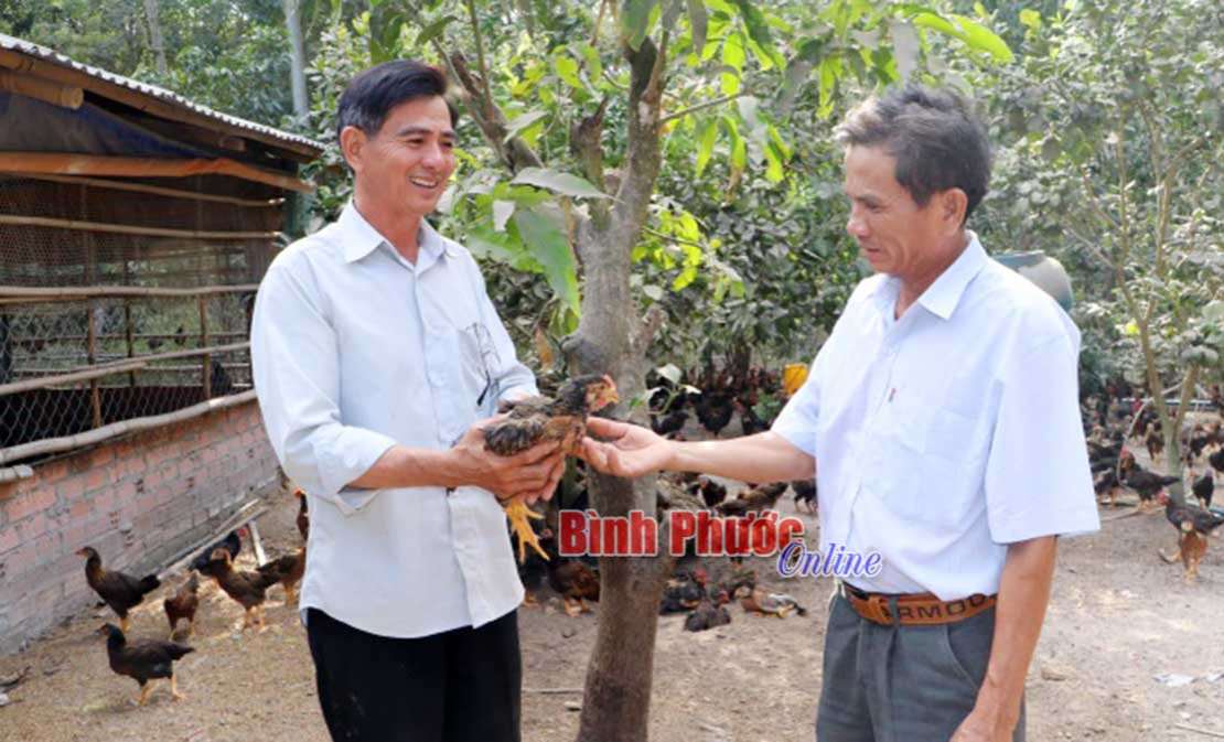 Nông dân Đồng Nơ chung sức phát triển kinh tế