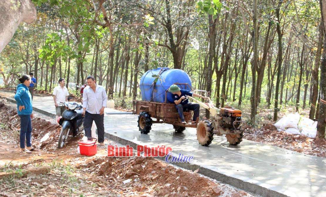 Bom Bo niềm vui đến khi xu&acirc;n về