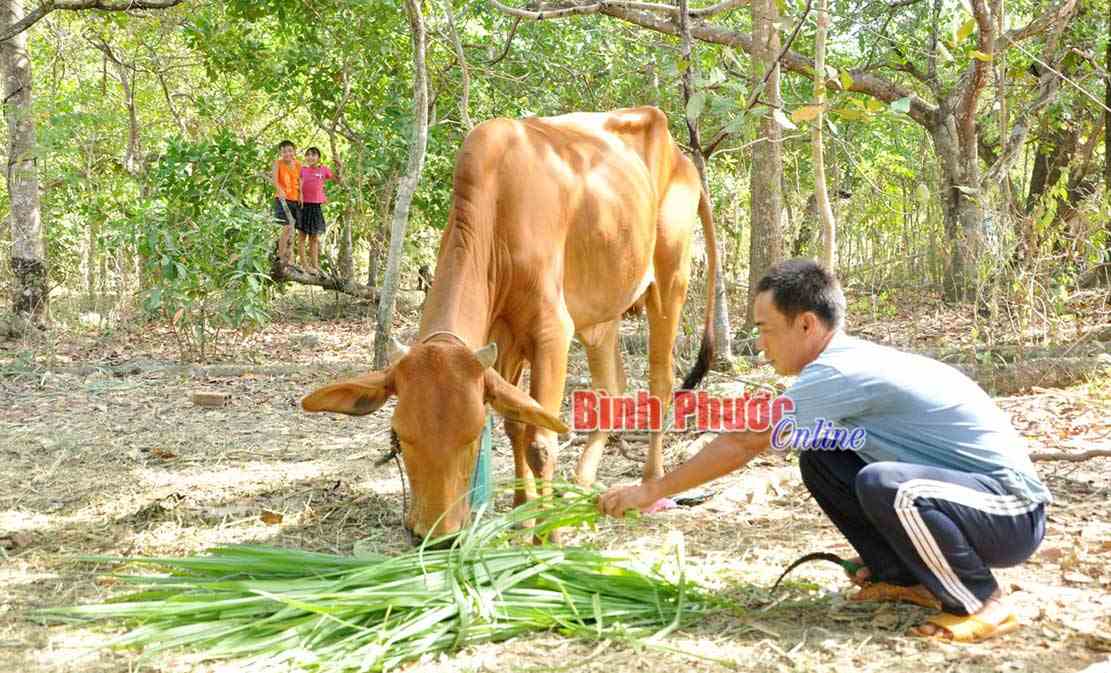 Đồng Phú phát huy hiệu quả nguồn Quỹ “Vì người nghèo” 
