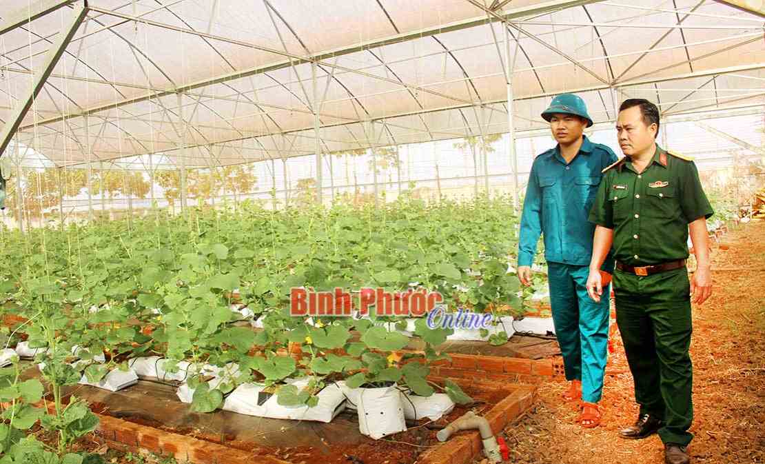 Lực lượng vũ trang tỉnh học v&agrave; l&agrave;m theo lời B&aacute;c