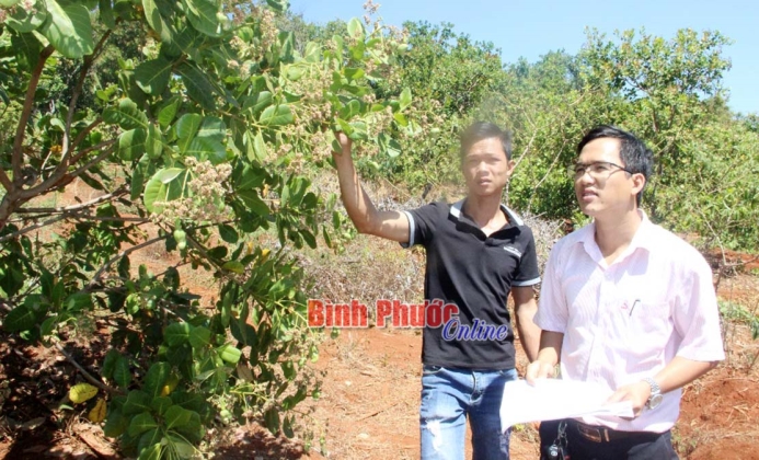 Tín dụng chính sách tiếp sức hộ nghèo