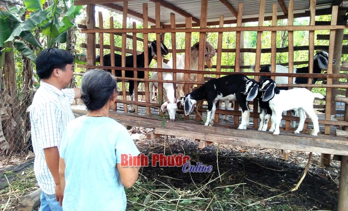 Bù Đốp tập trung giảm nghèo bền vững 