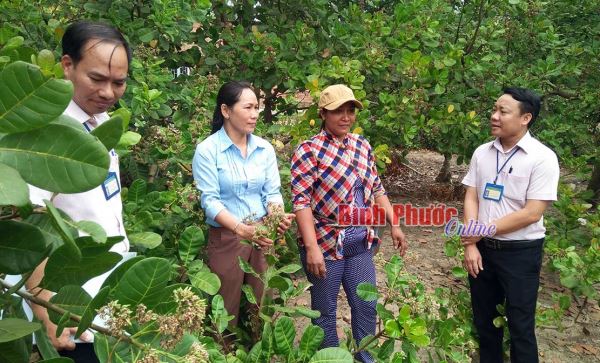 Giảm nghèo bền vững nhờ vốn chính sách xã hội