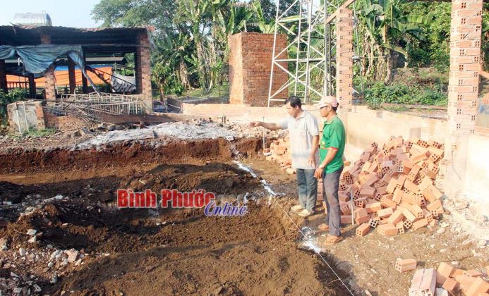 Thận trọng tái đàn heo