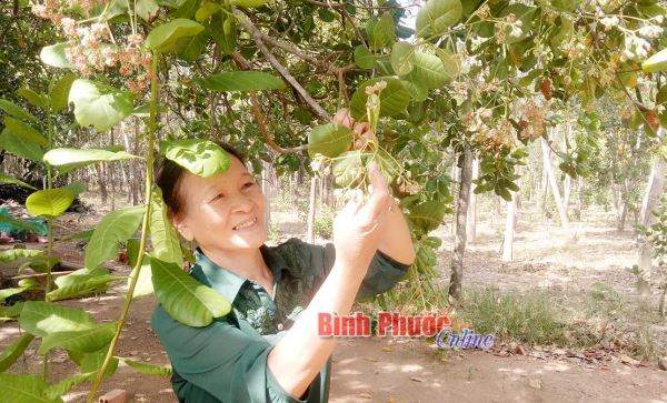 Nữ tỷ phú vùng sâu