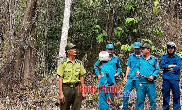 Đồng Phú chủ động phòng, chống cháy rừng