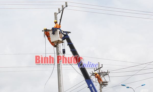 Điện lực Bình Phước đứng thứ 2 EVN SPC trong giảm tổn thất điện năng