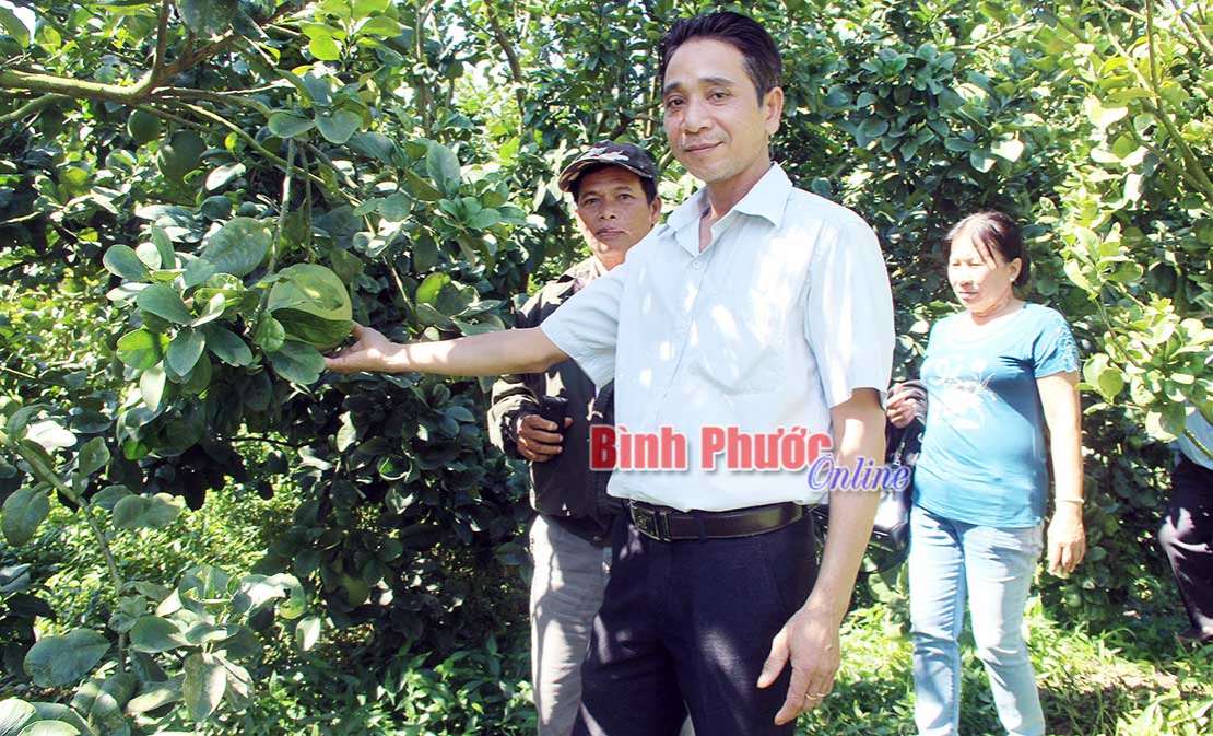 Tìm hướng phát triển cho hợp tác xã - Bài 2