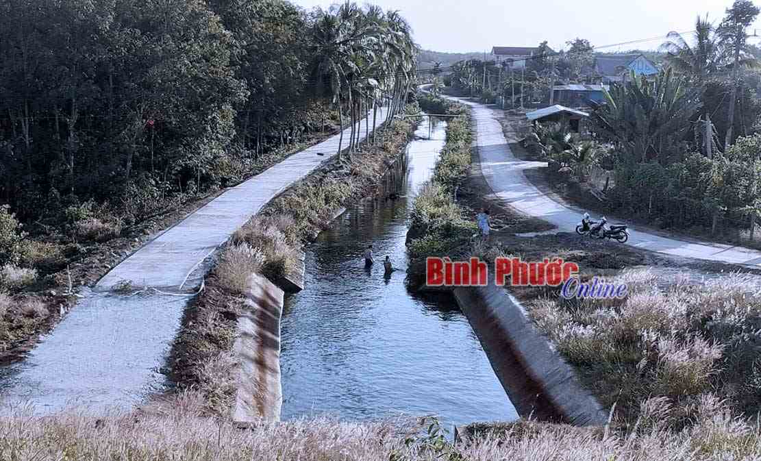 Xuân trên những con đường “ý Đảng, lòng dân”