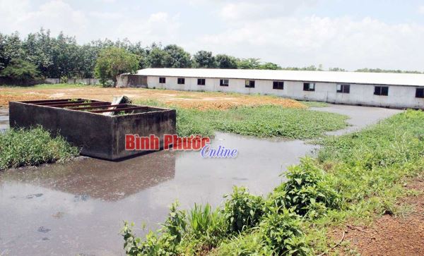 Những kiến nghị của cử tri với Sở TN-MT