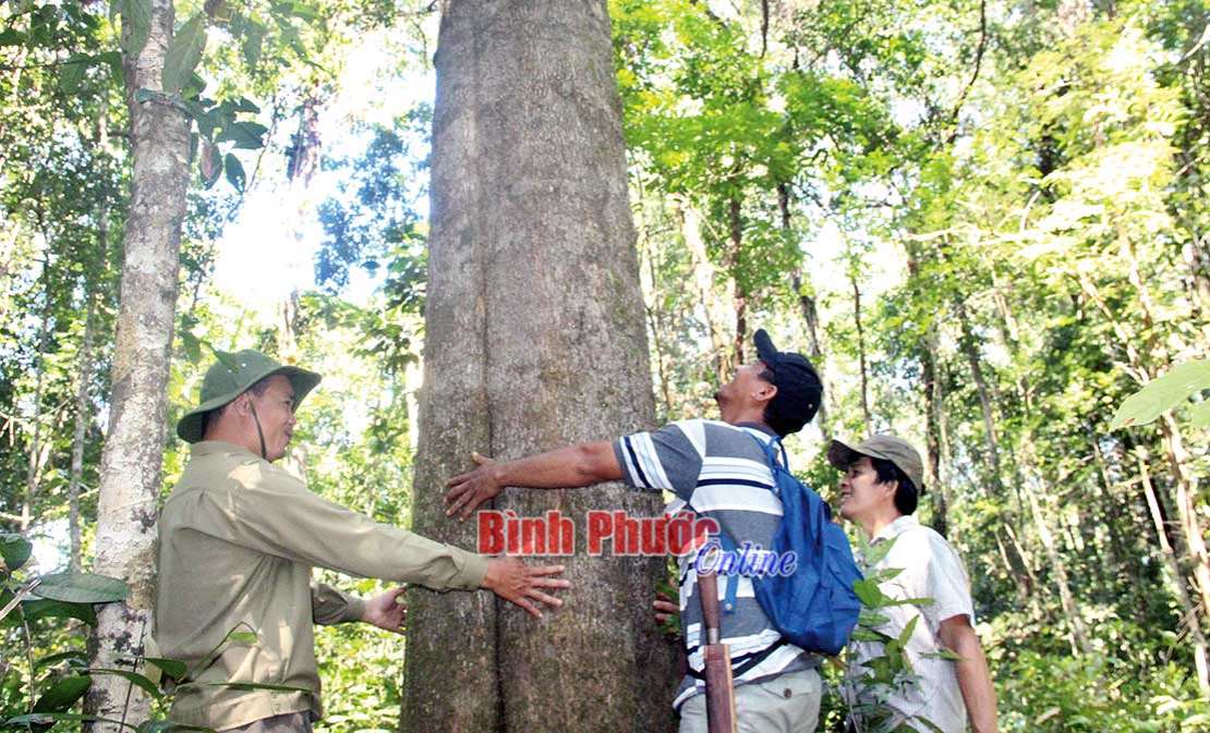 Cho hôm nay và muôn đời sau