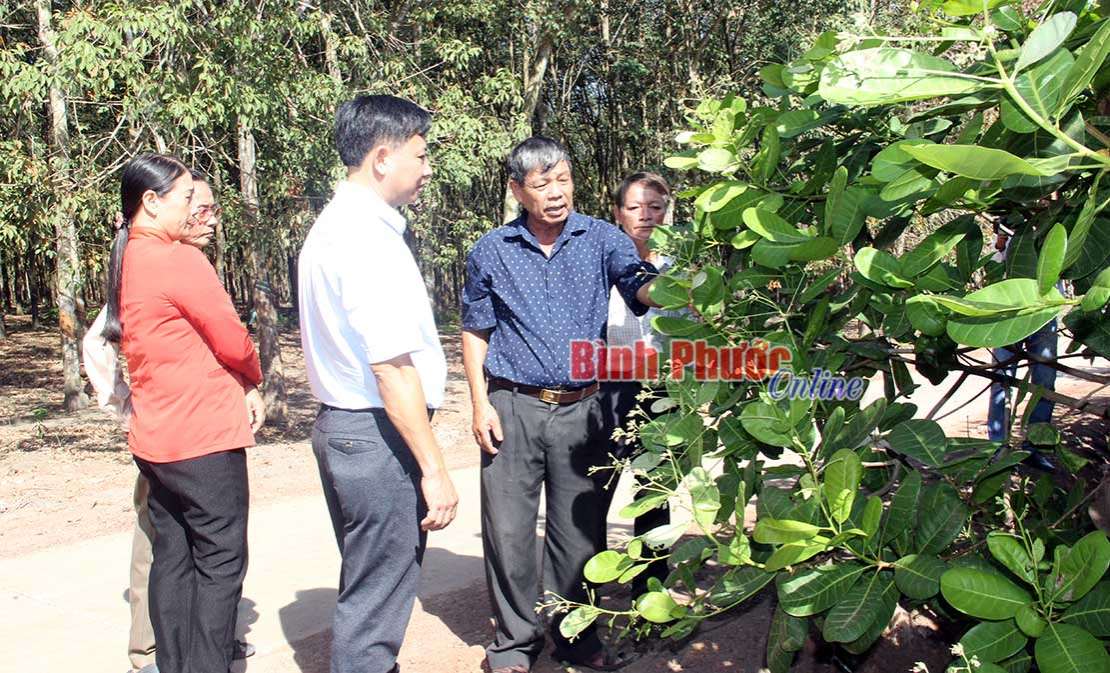 T&acirc;n Lập l&agrave;m theo B&aacute;c gắn với x&acirc;y dựng n&ocirc;ng th&ocirc;n mới