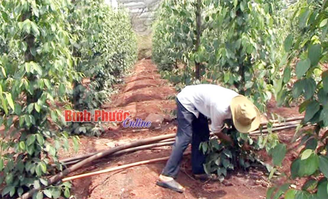 N&ocirc;ng th&ocirc;n mới đổi mới Lộc Điền