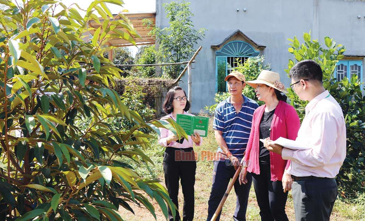 Vốn chính sách mang đến mùa xuân ấm no