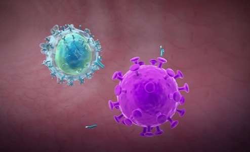 Chủ tịch UBND tỉnh chỉ đạo chủ động phòng, chống dịch bệnh viêm đường hô hấp cấp do virus Corona