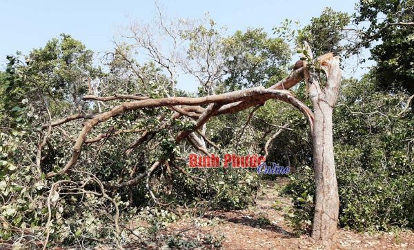 Xã Thống Nhất hỗ trợ nhân dân khắc phục thiệt hại do gió lốc