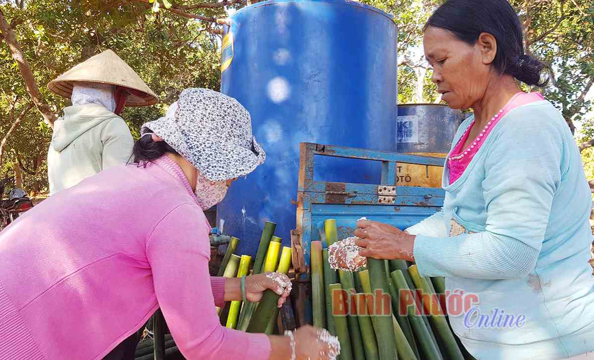 Th&ocirc;n B&ugrave; Dốt ăn tết tập trung mừng xu&acirc;n Canh T&yacute;