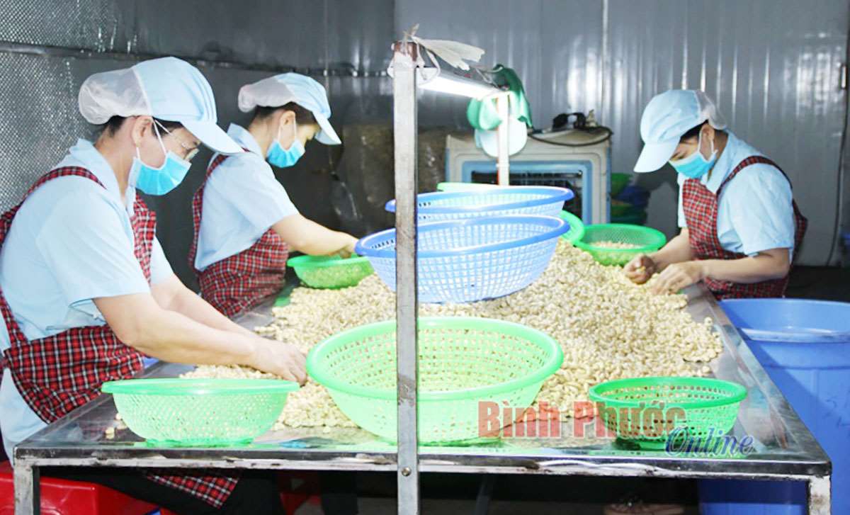 Thương mại điện tử - kênh bán hàng ưu việt thời 4.0